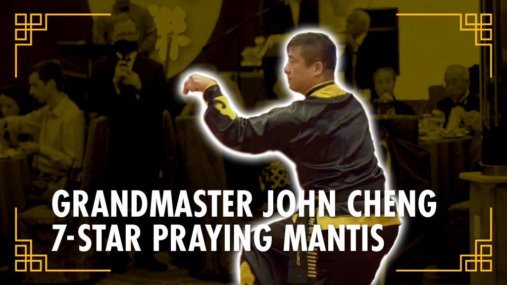 Grandmaster John Cheng // 7 Star Praying Mantis Style&nbsp;[七星螳螂拳]