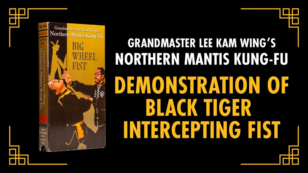 Demonstration of Black Tiger Intercepting Fist  [EXCERPT] Grandmaster Lee Kam Wing’s Northern Mantis&nbsp;Kung-Fu